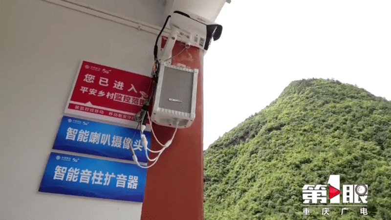 交换机:信息网络的心脏